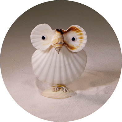 8568 - Scallop Owl